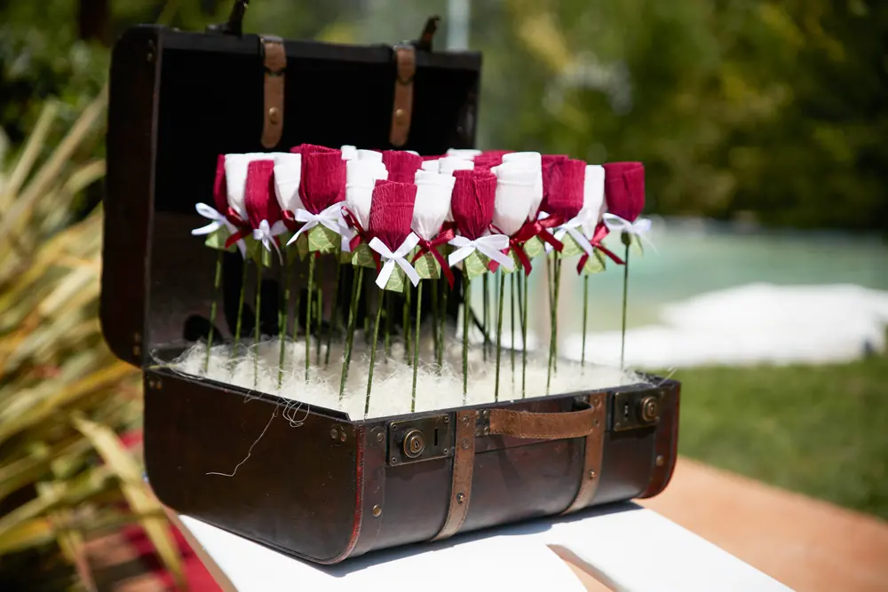 Conos de pétalos con rosas rojas en una maleta antigua